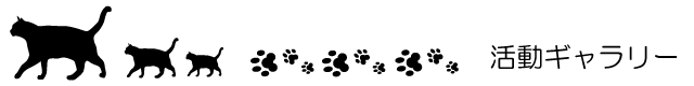 活動ギャラリー